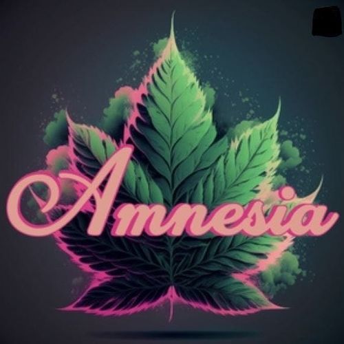 Amnesia Carts